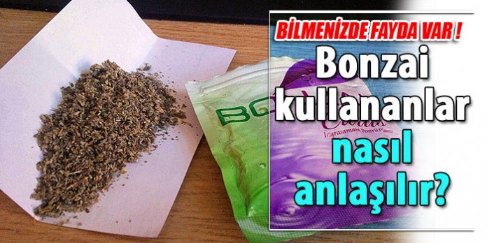BONZAi-kullananlar-nasil-anlasilir