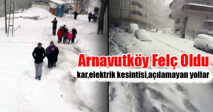 arnavutkoy-felc-2015