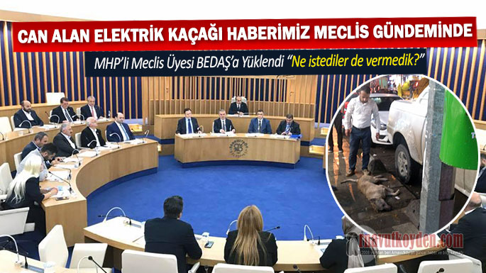 arnavutkoy-olen-kopek-mecliste2