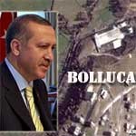 bolluca bolluca