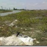 Fenertepe Yolu fenertepeyol
