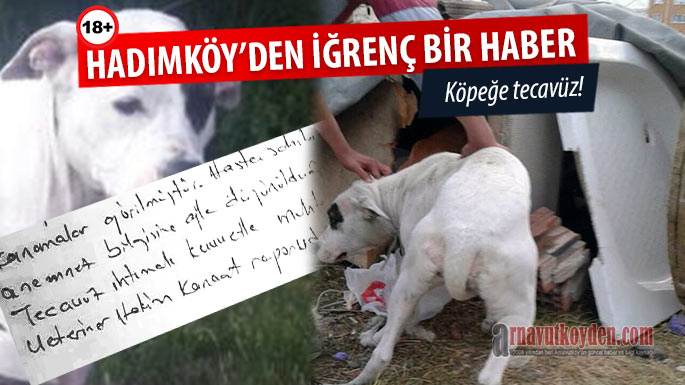 hadimkoy-kopege-tecavuz