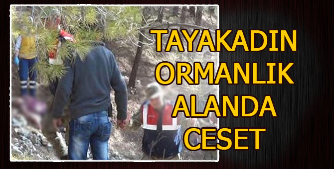 tayakadin-ceset